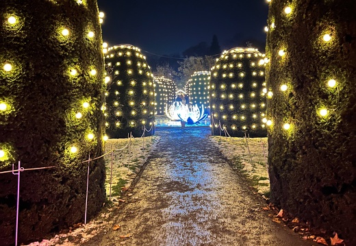 22-12-19 20-00-07 3682